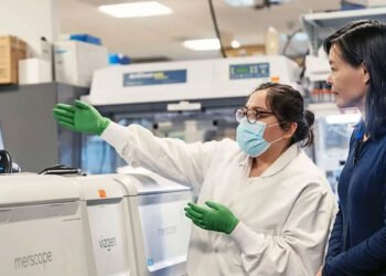 Bilim İnsanları Yetişkin Fare Beyninin Tam Hücresel Haritasını Çıkardı: Sinirbilimde Devrim Niteliğinde Bir Adım