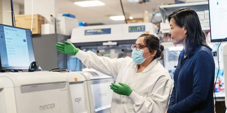 Bilim İnsanları Yetişkin Fare Beyninin Tam Hücresel Haritasını Çıkardı: Sinirbilimde Devrim Niteliğinde Bir Adım