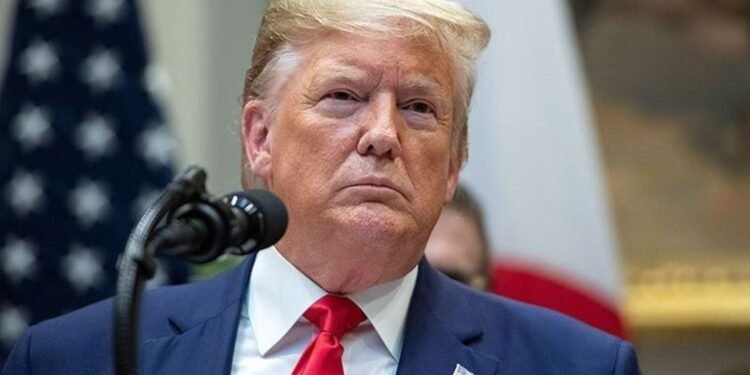 Ali Abbasi: İran’dan İsveç’e Yolculuk