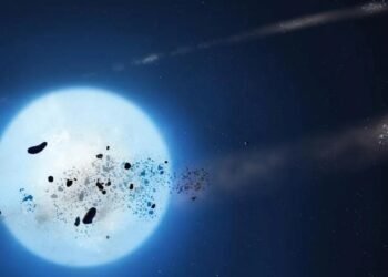 Beyaz Cüce Yıldızlar ve Gelecek Senaryoları