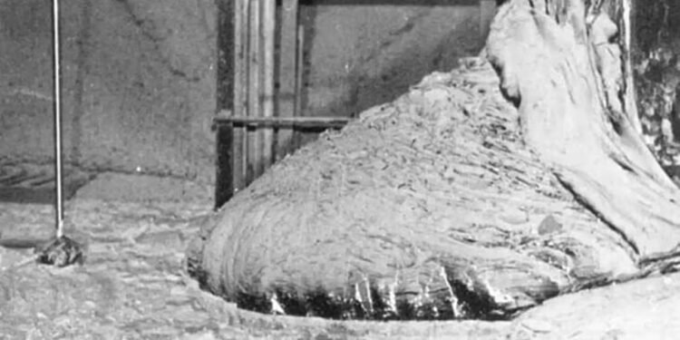 Çernobil Felaketi ve Fil Ayağı