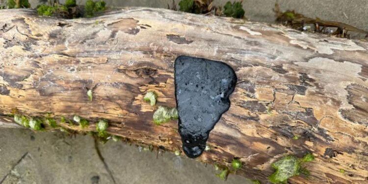 Deniz Kıyısını Tehdit Eden Gizemli Madde