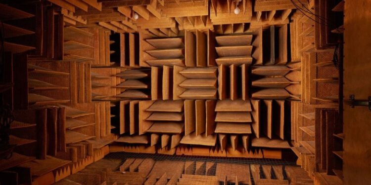 Gerçek Sessizliğin Korkutucu Dünyası