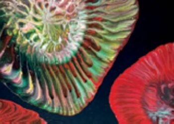 Haluk Naci Tuğcu’nun ‘Kavuşma’ Sergisi: Eserler ve Tema