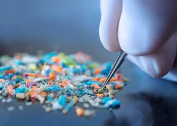 Mikroplastikler: Görülmemesi Gereken Yerlerde