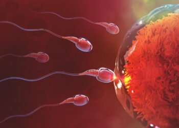 Mikroplastikler ve Üreme Sistemi