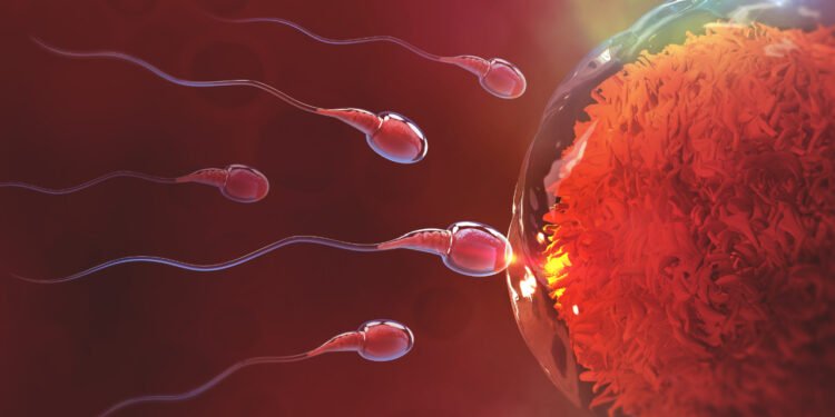 Mikroplastikler ve Üreme Sistemi