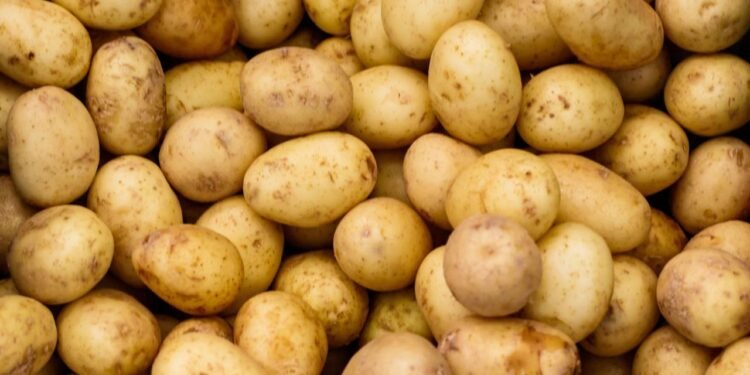 Patates Zehirlenmesi ve Solanin Gazı