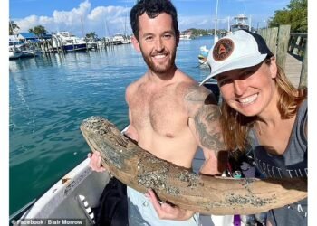 Florida’da 10 Milyon Yıllık Mastodon Dişi Keşfi