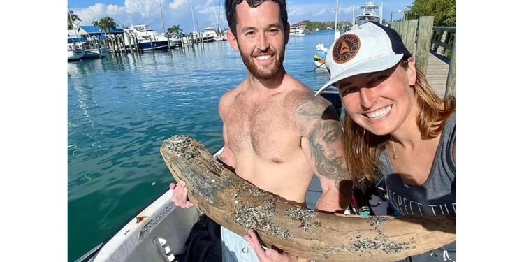 Florida’da 10 Milyon Yıllık Mastodon Dişi Keşfi
