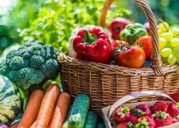 Taze Sebzeler vs. Dondurulmuş Sebzeler: Besin Değerleri Karşılaştırması