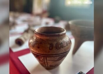 Washington DC’de Yaşayan Anna Lee Dozier’un Maya Vazosu Macerası