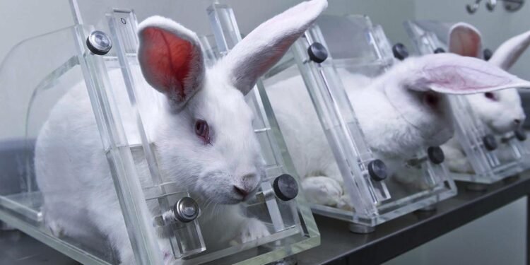 Yapay Zeka ile Hayvan Testlerine Alternatif Çözümler