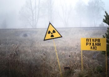 Çernobil’deki Ötücü Kuşlar ve Radyasyonun Etkileri