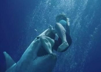 Denizde Dehşet Filmi: Konu, Oyuncular ve İnceleme