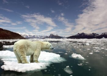 İklim Değişikliği ve Zaman Algısı Üzerindeki Etkileri
