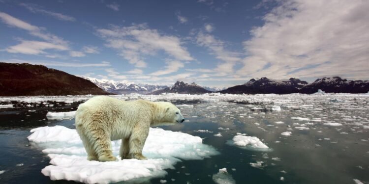 İklim Değişikliği ve Zaman Algısı Üzerindeki Etkileri