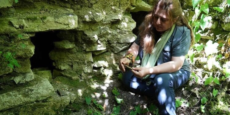 İnebolu Arkeoloji Projesi