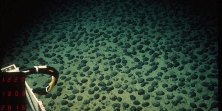 Karanlık Oksijen: Okyanusların Derinliklerinde Yeni Bir Oksijen Kaynağı