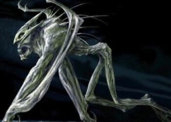 Mağara Filmi Hakkında Bilgiler