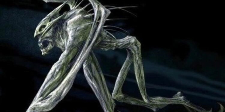 Mağara Filmi Hakkında Bilgiler