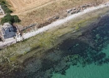 Parion Antik Kenti Kazı Çalışmaları