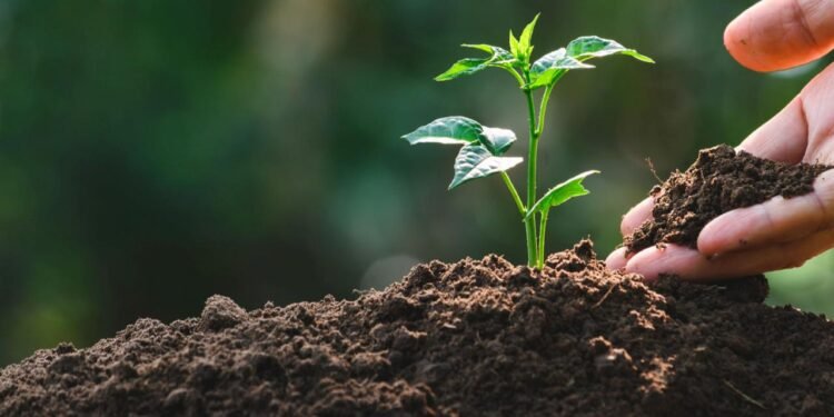 Yeni Akıllı Toprak ile Su Kullanımında Devrim