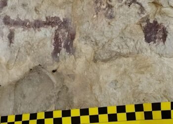 6 Bin Yıllık Mağara Resmi, Facebook Fotoğrafı İçin Yok Edildi