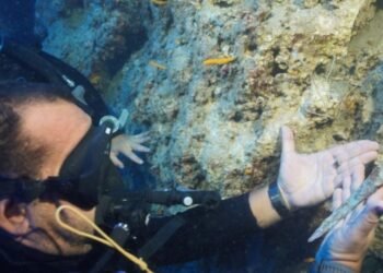 Antalya’da 3 Bin 600 Yıllık Gümüş Hançer Bulundu