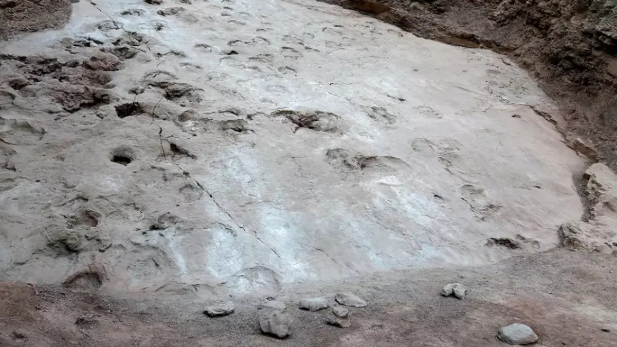 Minik Dinozor Ayak İzleri Gansu'da Keşfedildi