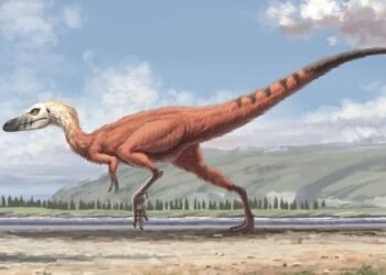 Gansu’da Bulunan Minik Dinozor Ayak İzleri