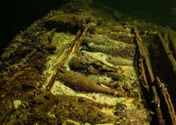 İsveç Kıyılarında 170 Yıllık Gemi Batığı ve Şampanya Keşfi
