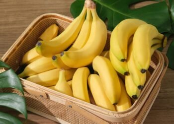 Muzlar Tehlikede: Fungal Hastalıklar ve Geleceği