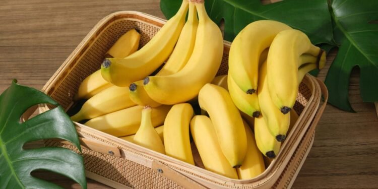 Muzlar Tehlikede: Fungal Hastalıklar ve Geleceği