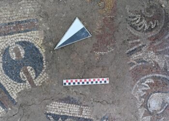 Ordu’da İlk In-Situ Zemin Mozaiği Keşfi