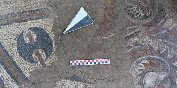 Ordu’da İlk In-Situ Zemin Mozaiği Keşfi