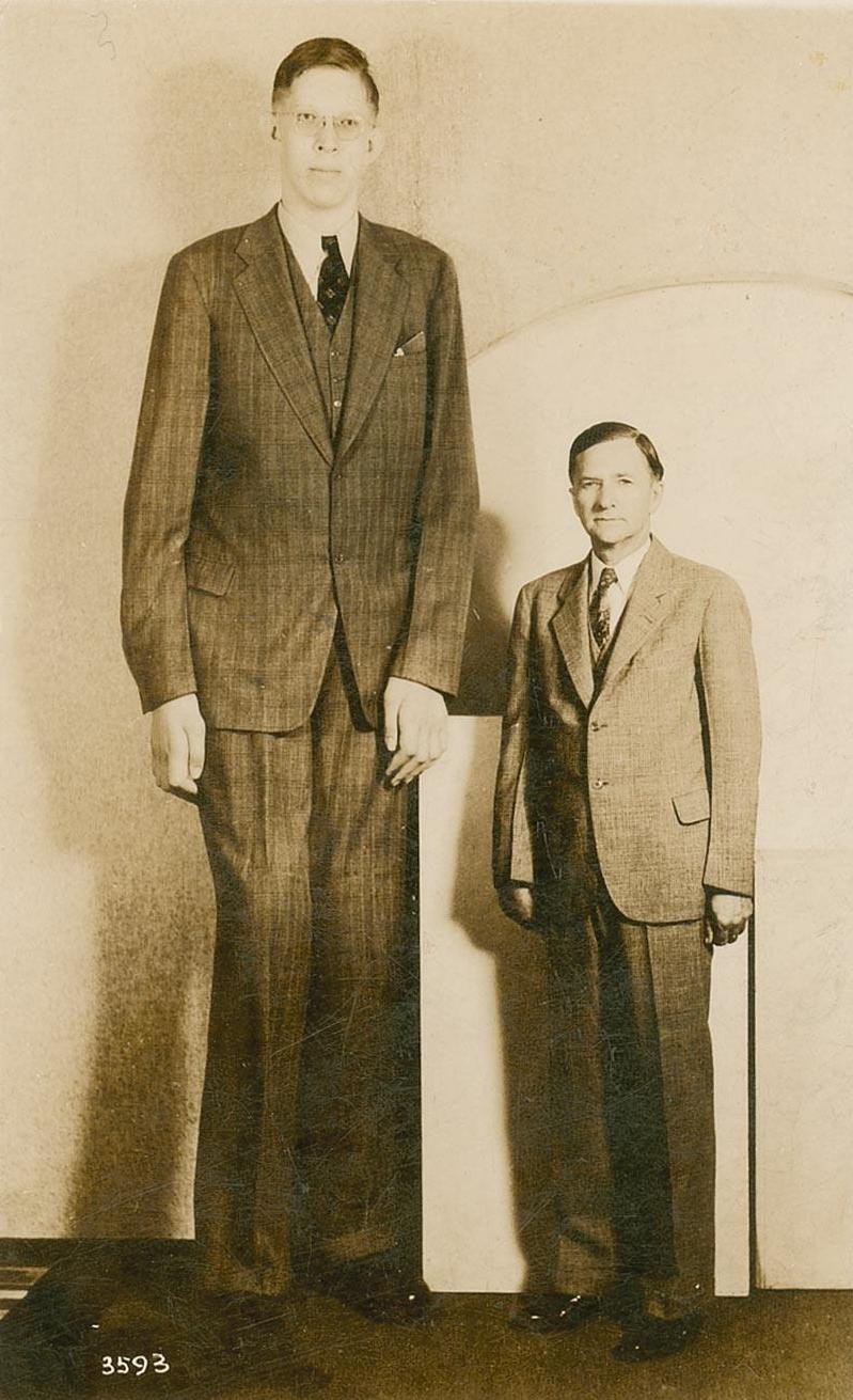 Robert Wadlow: Tarihin En Uzun Adamı