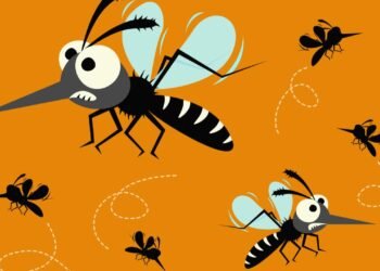 Sivrisineklerin Gizemli Dünyası ve Korunma Yöntemleri