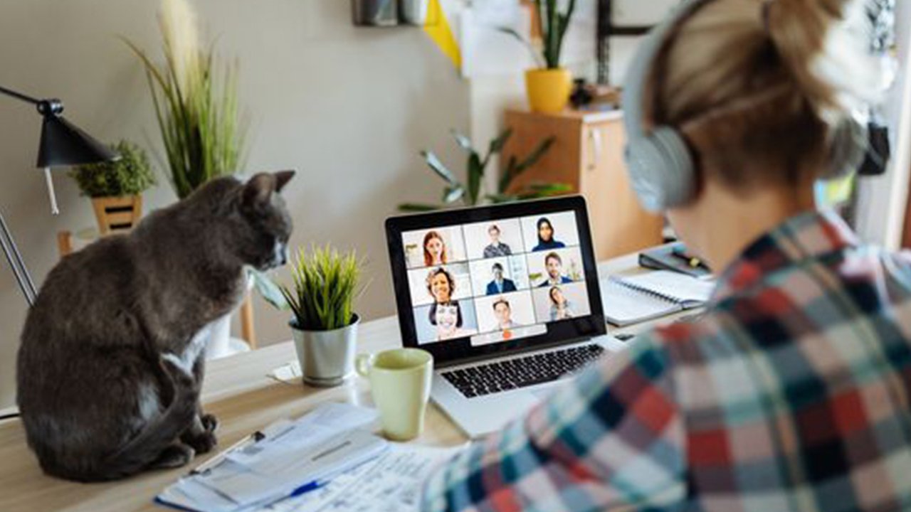 Ofis Zorunluluklarının Olumsuz Etkileri