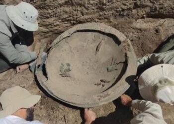 Ayanis Kalesi’nde Kazı Çalışmaları ve Yeni Buluntular