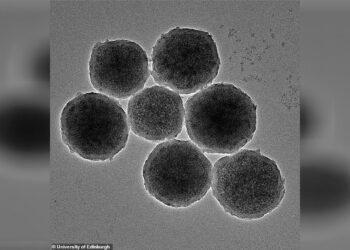 Beyin Kanamalarında Minik Manyetik Robotların Kullanımı