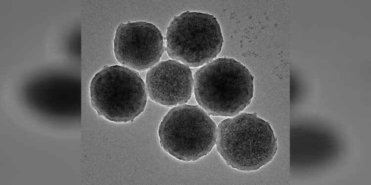 Beyin Kanamalarında Minik Manyetik Robotların Kullanımı