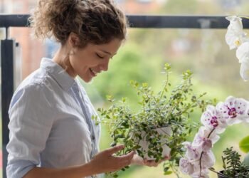 Bitkilerin İletişim Dili: Tarımda Devrim Yaratma Potansiyeli