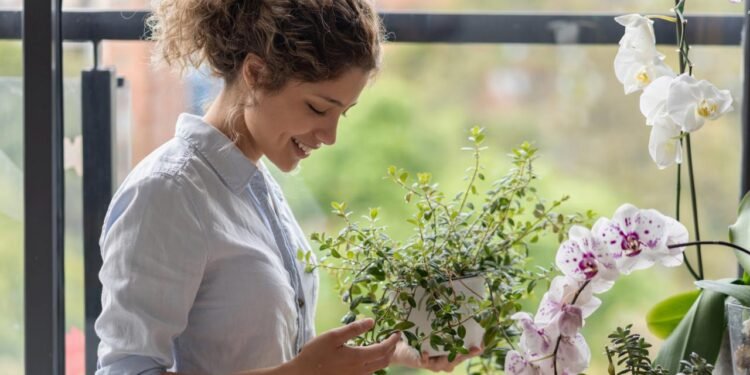Bitkilerin İletişim Dili: Tarımda Devrim Yaratma Potansiyeli