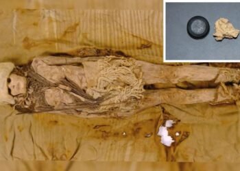 Dünyanın En Eski Peynirinin Keşfi ve Antik Beslenme Alışkanlıkları