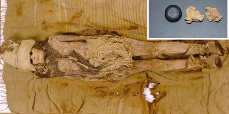 Dünyanın En Eski Peynirinin Keşfi ve Antik Beslenme Alışkanlıkları