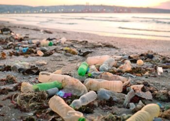 Plastik Kirliliği: En Fazla Atık Üreten Ülkeler ve Etkileri