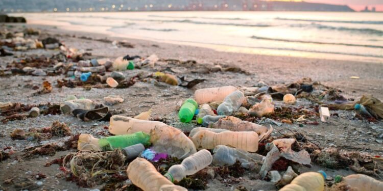 Plastik Kirliliği: En Fazla Atık Üreten Ülkeler ve Etkileri