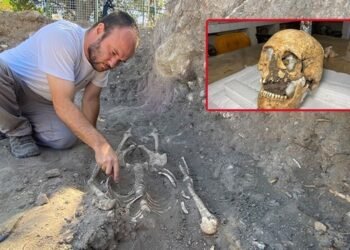 Troya Ören Yeri’nde 2024 Kazı Çalışmaları ve İlk Yüzlendirme