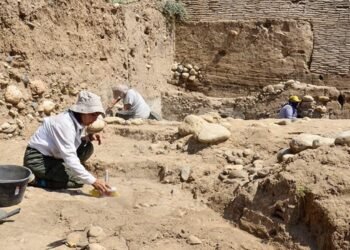Yumuktepe Höyüğü Kazıları: Anadolu’nun Tarihine Derin Bir Yolculuk